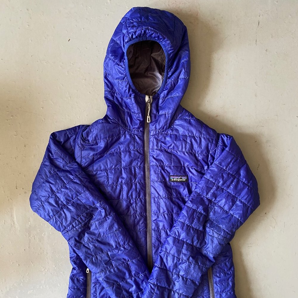 Patagonia Micro Puff Hoody